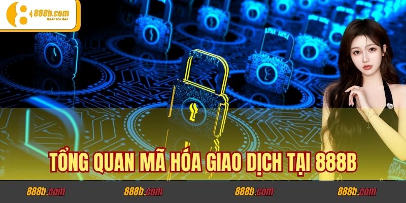 Tổng quan mã hóa giao dịch tại 888b